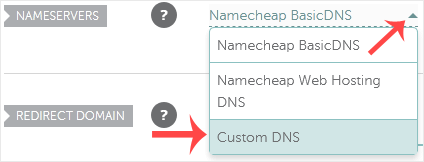 Sección Nameservers con la opción Custom DNS